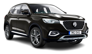 Hybrid cars by the hour