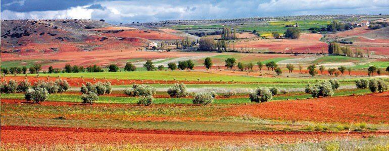 Route by car Don Quijote de la Mancha, Montiel