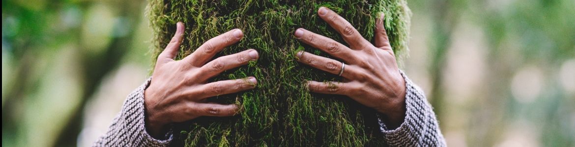 man huggin tree on forest
