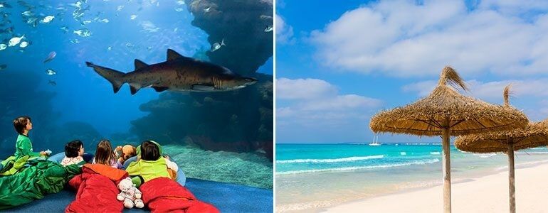 Plans for holiday in Mallorca with children
